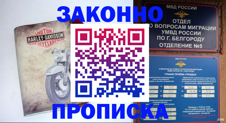 прописка для школы в Бородино